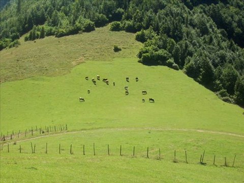 EMEKSAN KÖYÜ YAYLALARI GÖRÜNTÜLERİ 2011 YENİ