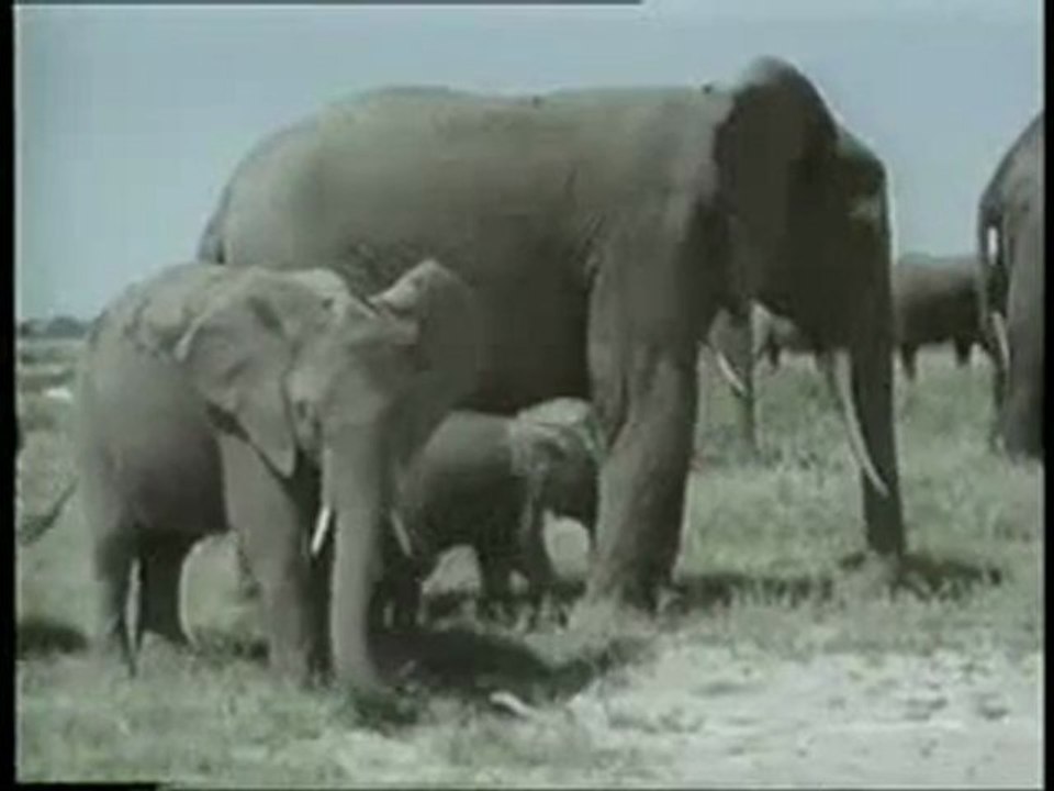 Filin ayağındaki tasarım