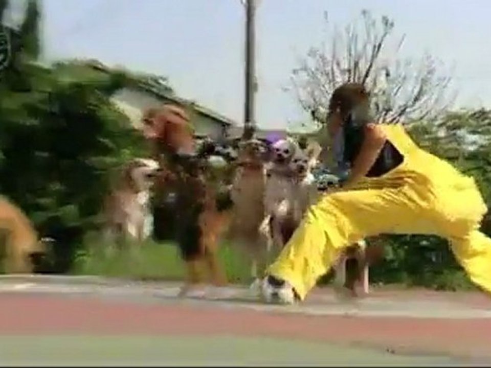 dogjump