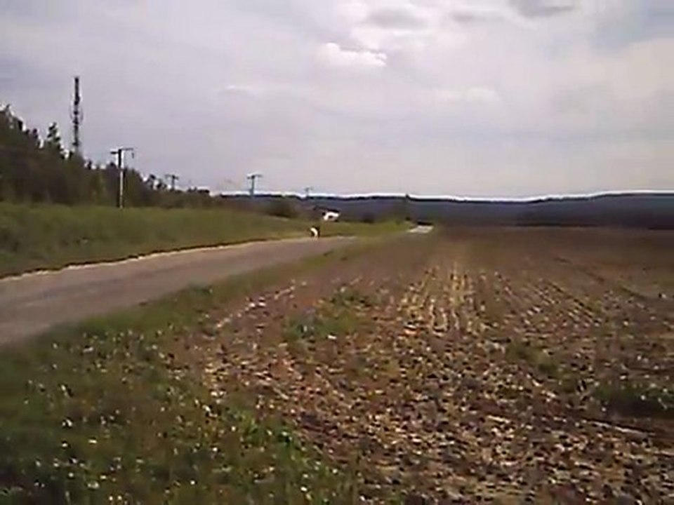 chien court apres eurostar