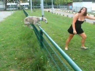 Casper Obstacle et spectacle