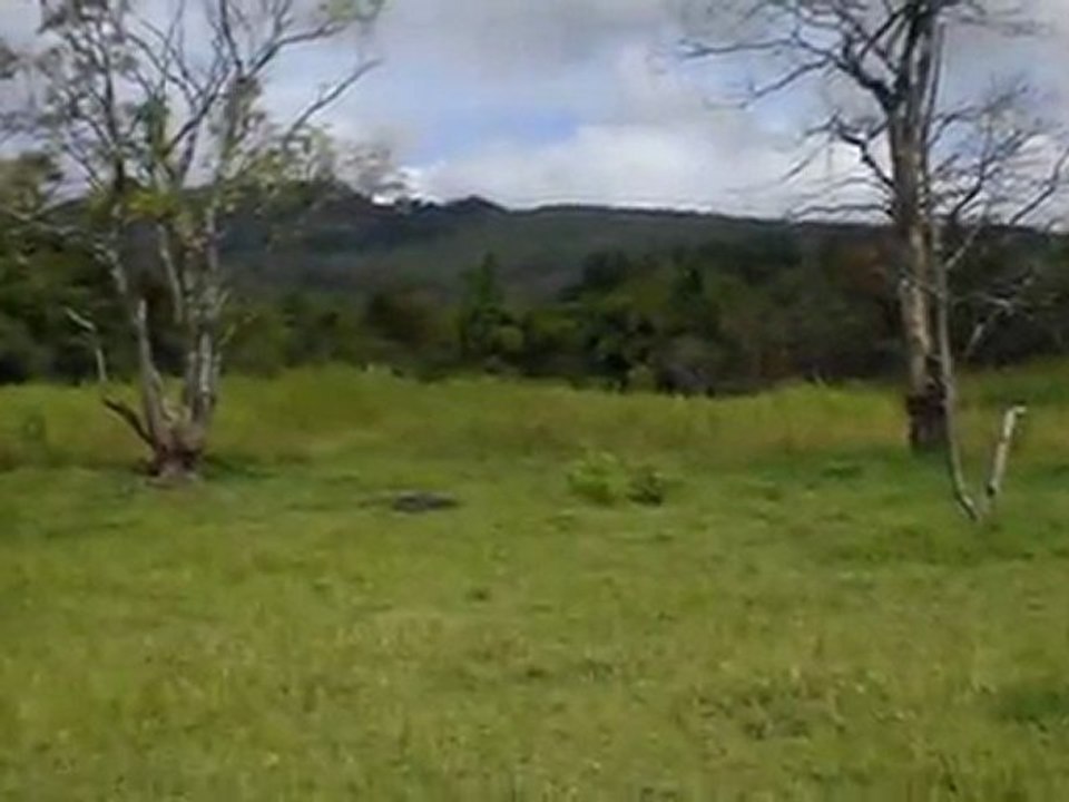 Lotes de Terreno en el Centro de La Ciudad de Intibucá