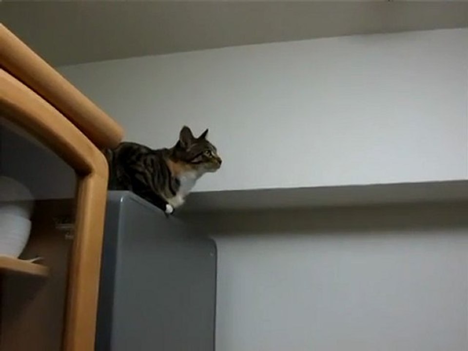 Unglaublicher Sprung Fail