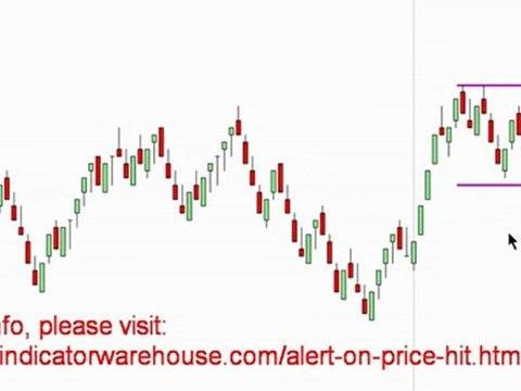 Alert on Price Break Indicator | NinjaTrader