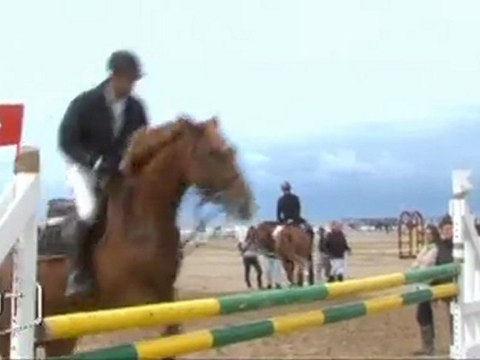 Le 10e Caval’océane réjouit les visiteurs (Vendée)