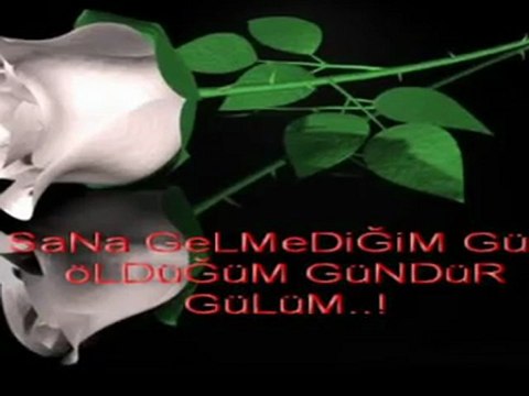 Güz Gülleri - Hakan Taşıyan