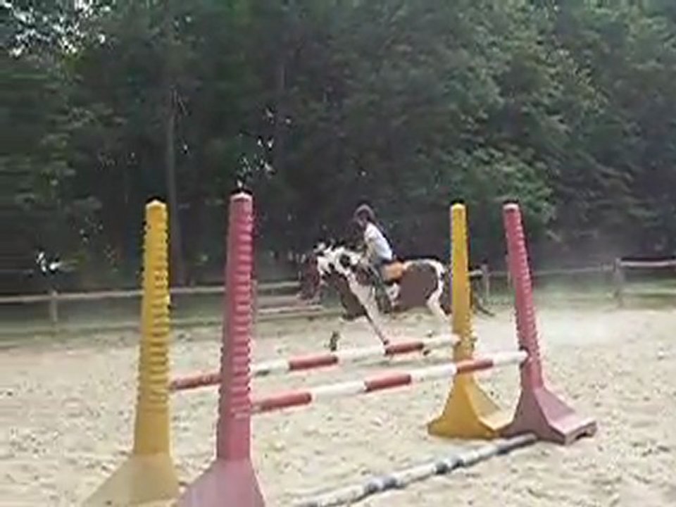Lévina et Mustang (entrainement saut)