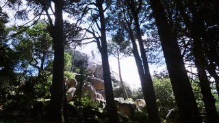 O Gigante - Parque da Pena - Sintra