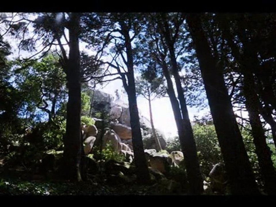O Gigante - Parque da Pena - Sintra
