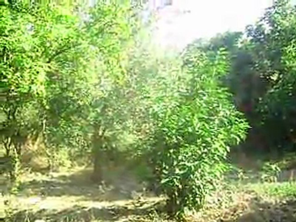 MOV02534