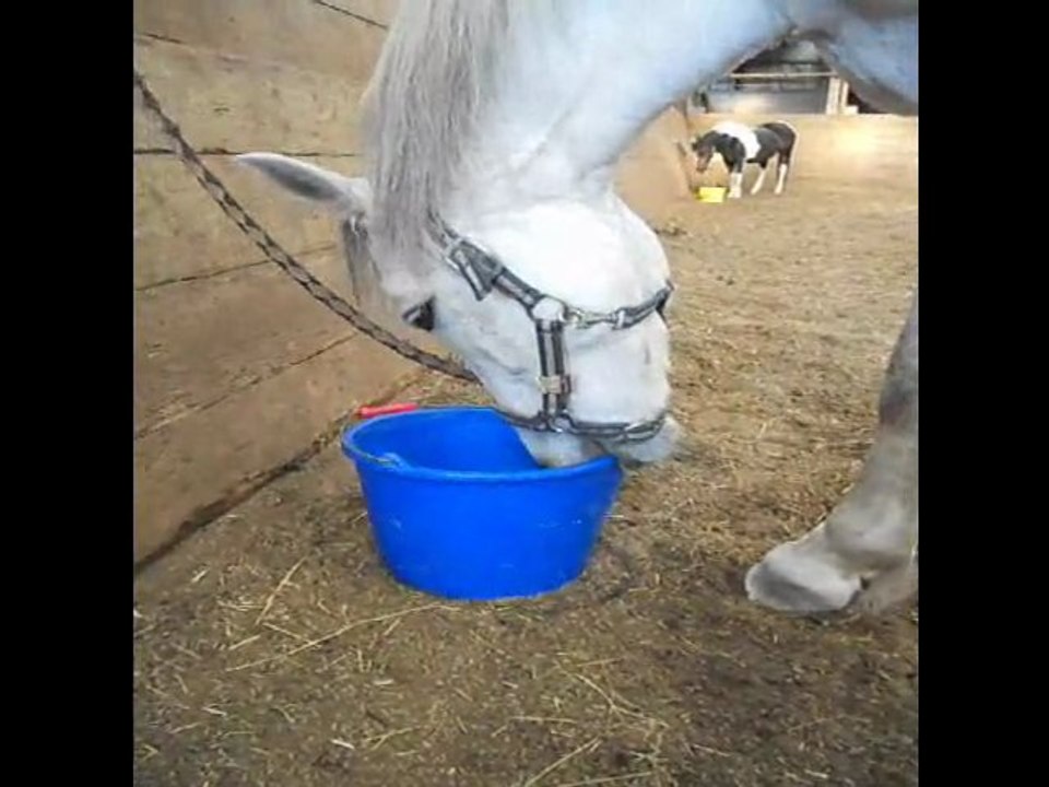 Moly encore avec ces fameux seaux ! :p