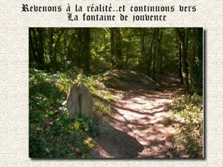 Ballade en forêt de Broceliande
