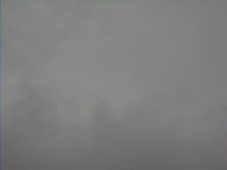 à vol d'oiseaux (mcleod ganj 2011)