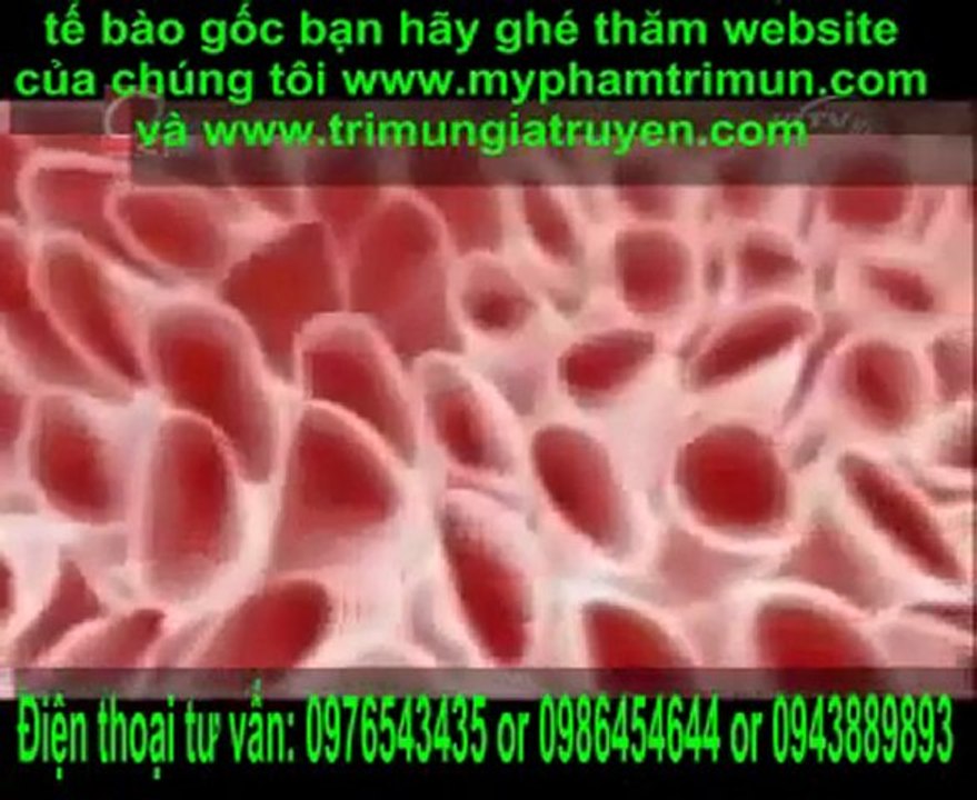 VCTV10 noi ve my pham te bao goc.avi - YouTube