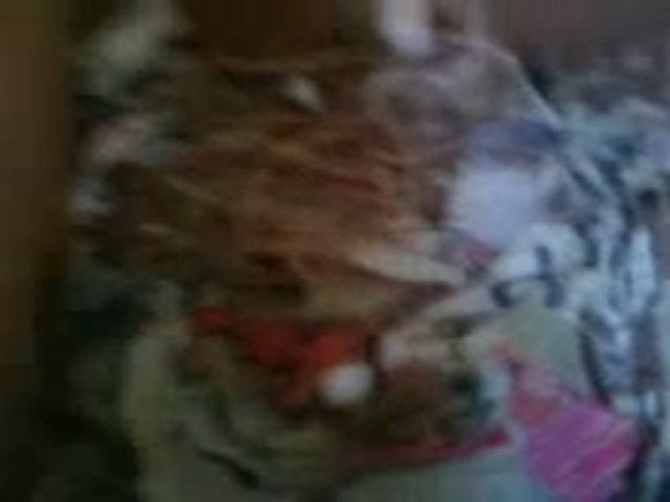 HÜRKAN ÖZKAN -2011 JAVALARIM