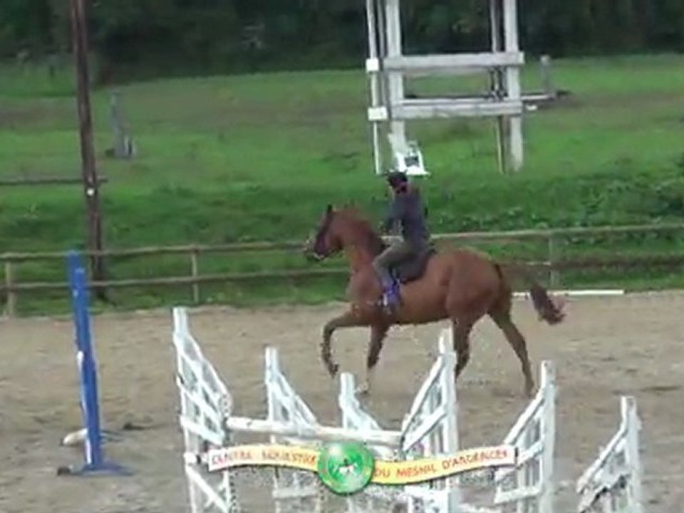 csoMathilde2011