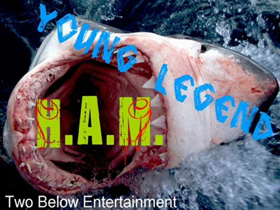 HAM-Remix-Young Legend