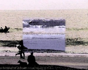 garçons et chiens libres