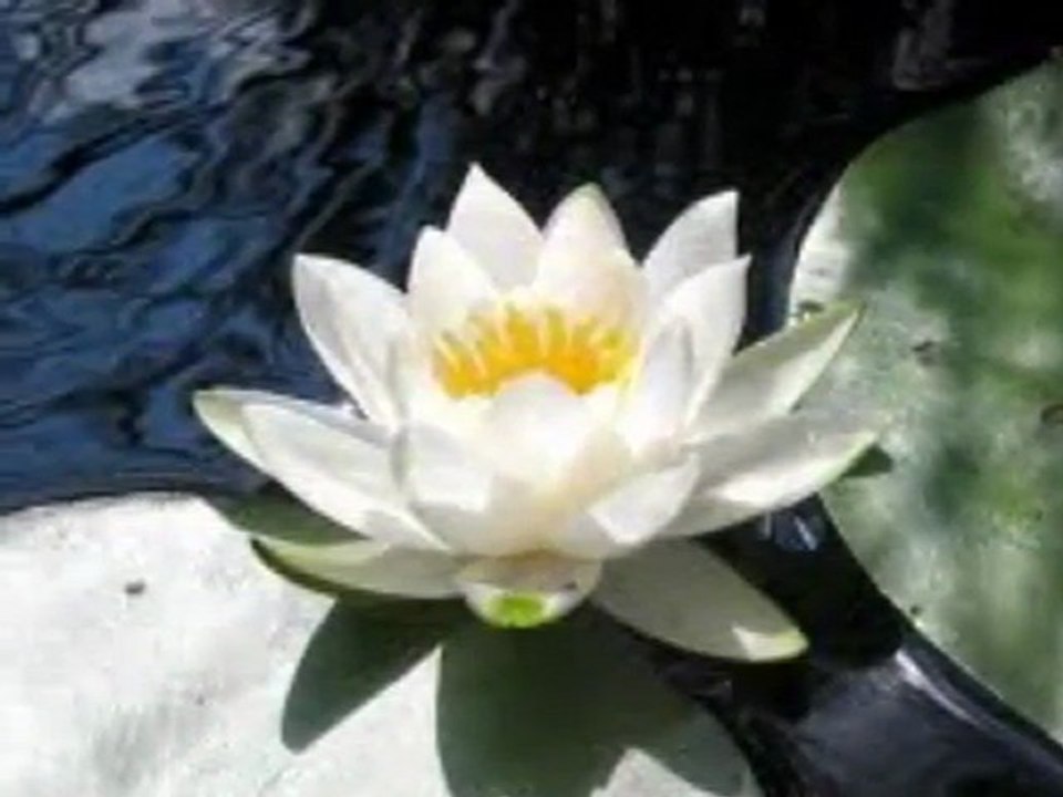 H.Z MEVLANA  ''ETME'' şiiri..