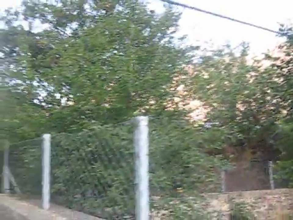 Bostanlarda Yolculuk