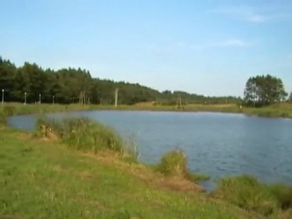 Wilków