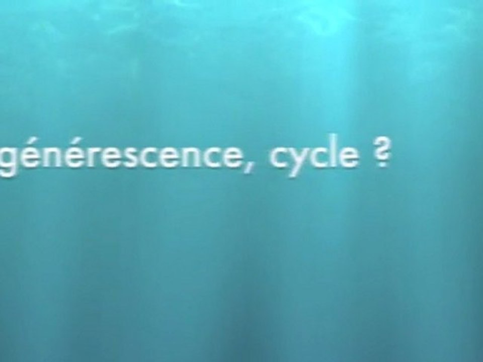 Le Jeu du Phénix (Test #2)