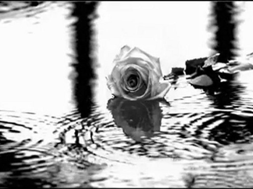 Instrumental Collection Why. (Violin Version) [HQ]