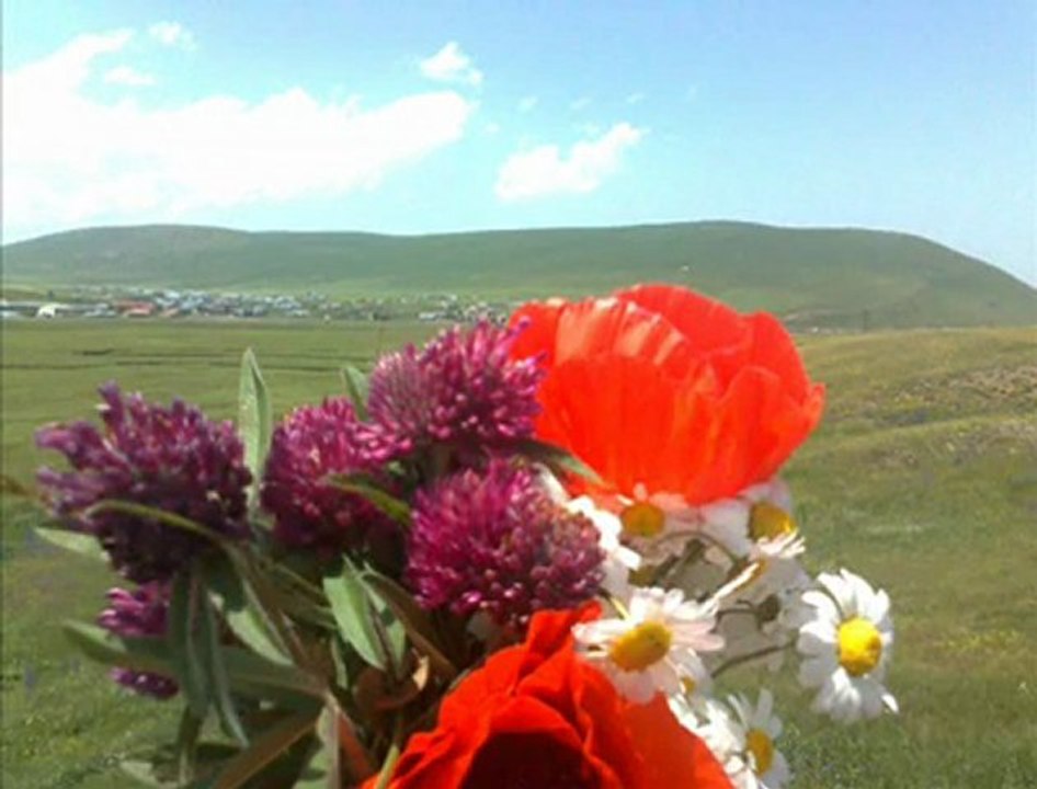 ardahan köyleri ilçeleri köyü @ ardahan köyleri ilçeleri @ MEHMET ALİ ARSLAN Grup