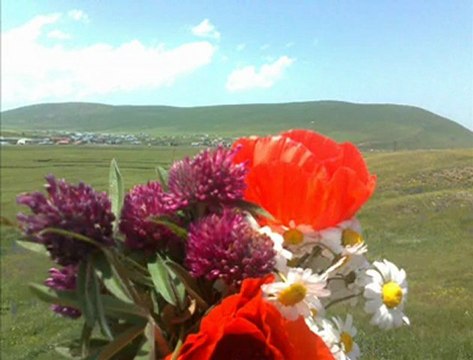 ardahan köyleri ilçeleri köyü @ ardahan köyleri ilçeleri @ MEHMET ALİ ARSLAN Grup