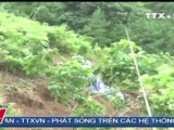 THỜI SỰ 12H 16.09.2011 , TTXVN, VNEWS, VNA, TRUYỀN HÌNH THÔNG TẤN, TTXVN