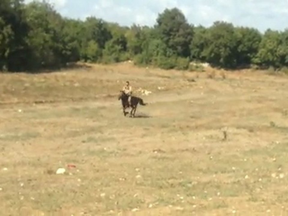 mustafa