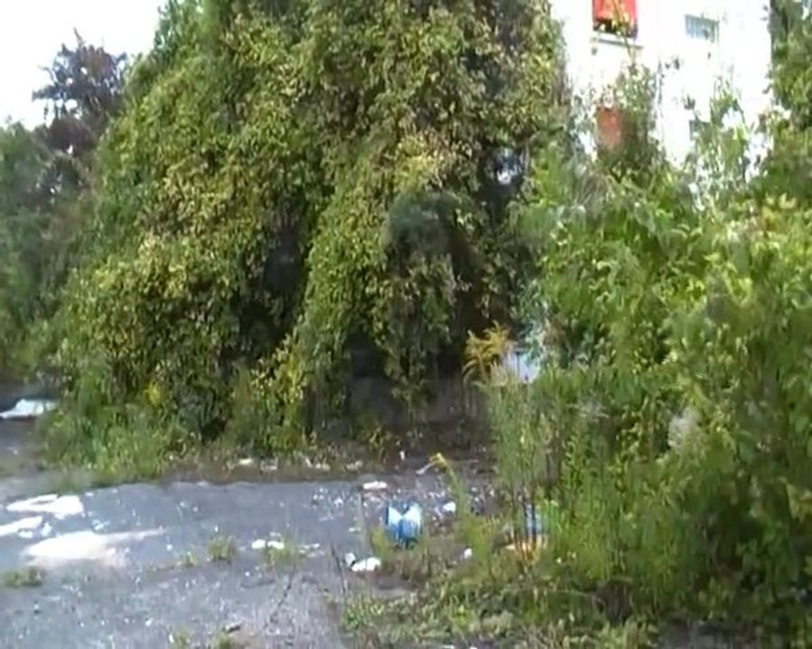 ARMA 8 au C.E.A le 18.09.2011