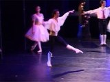 Ballet Bournonville NAPOLI - FETE FLEURS GENZANO Variation Homme