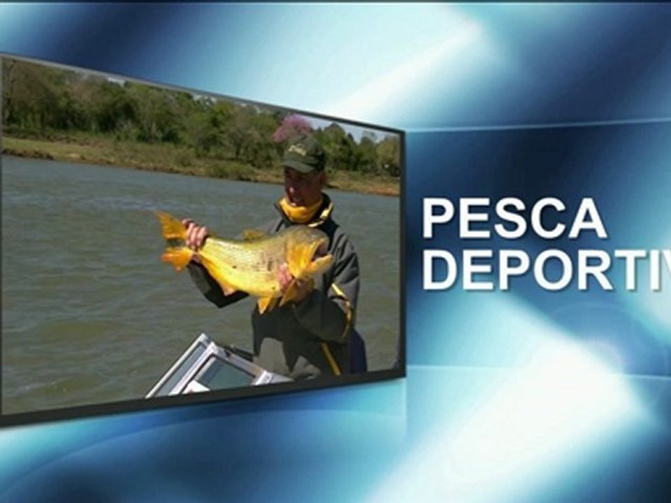 Paso-2011
