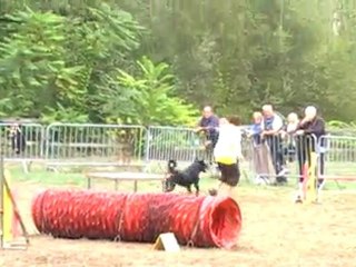 dolce open sospel 11 agility