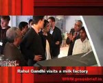 Rahul Gandhi visits a milk factory