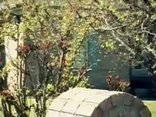 Can God Trust You? - CBN.com