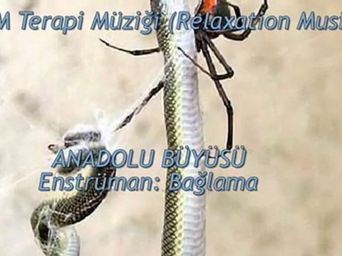 TSM İle Terapi (06) DOST Anadolu Büyüsü (Bağlama)