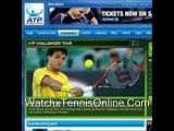 watch ATP Tour 2011 Open Tennis 2011 quarter finals online