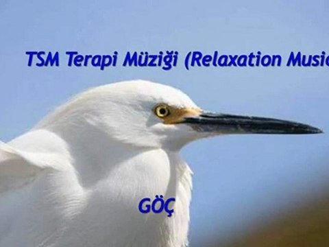 TSM İle Terapi (08) DOST Göç (Bağlama