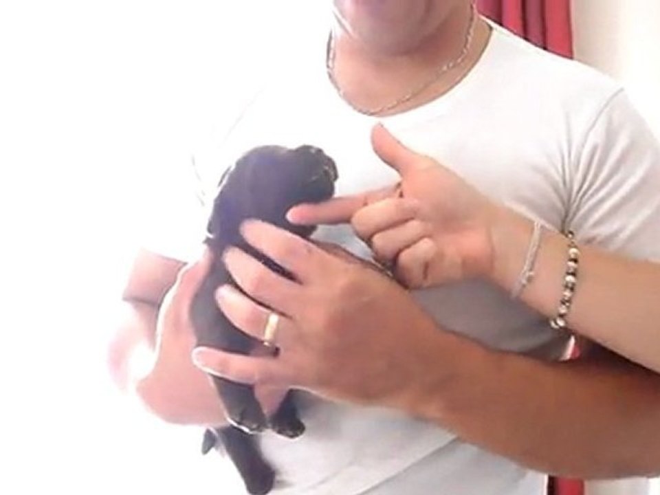 vermiguge2