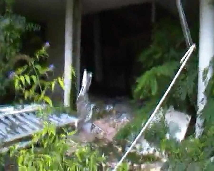 ARMA 8 au C.E.A le 18.09.2011 derniere partie