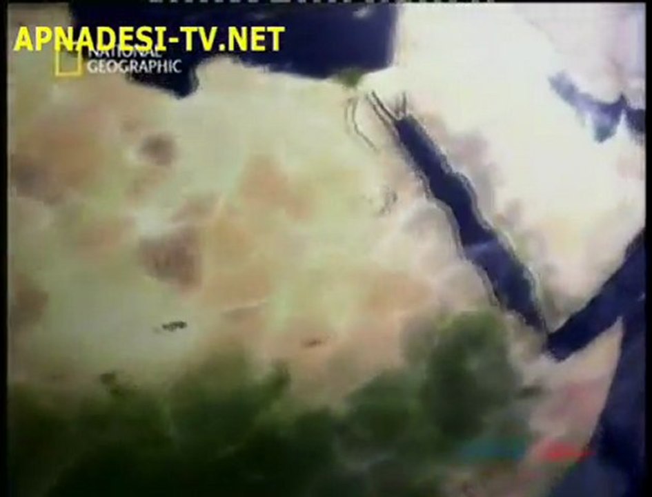 Ten Years Of Osama Terror - Part1