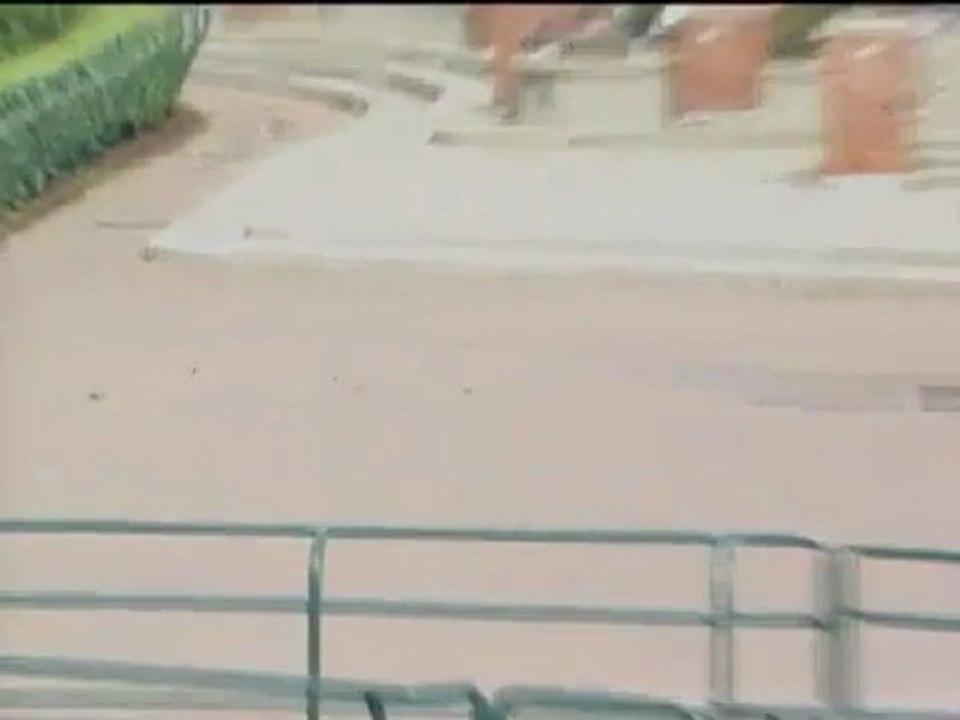 ducks