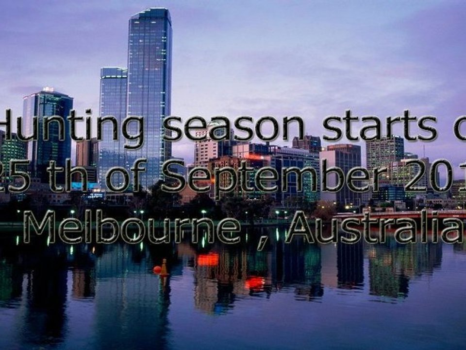 F1-Liga.de Melbourne Warmup