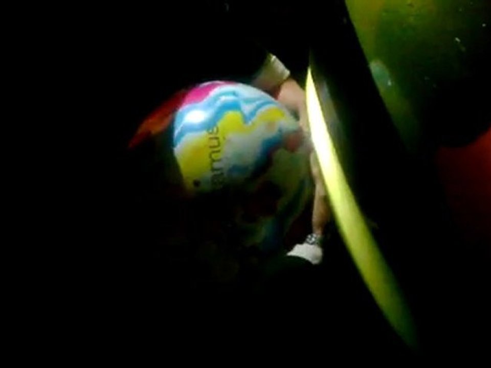 ballon hippo 207