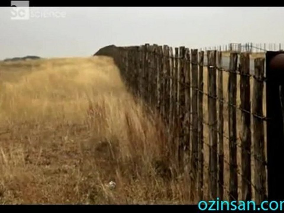 ufo gerçeği