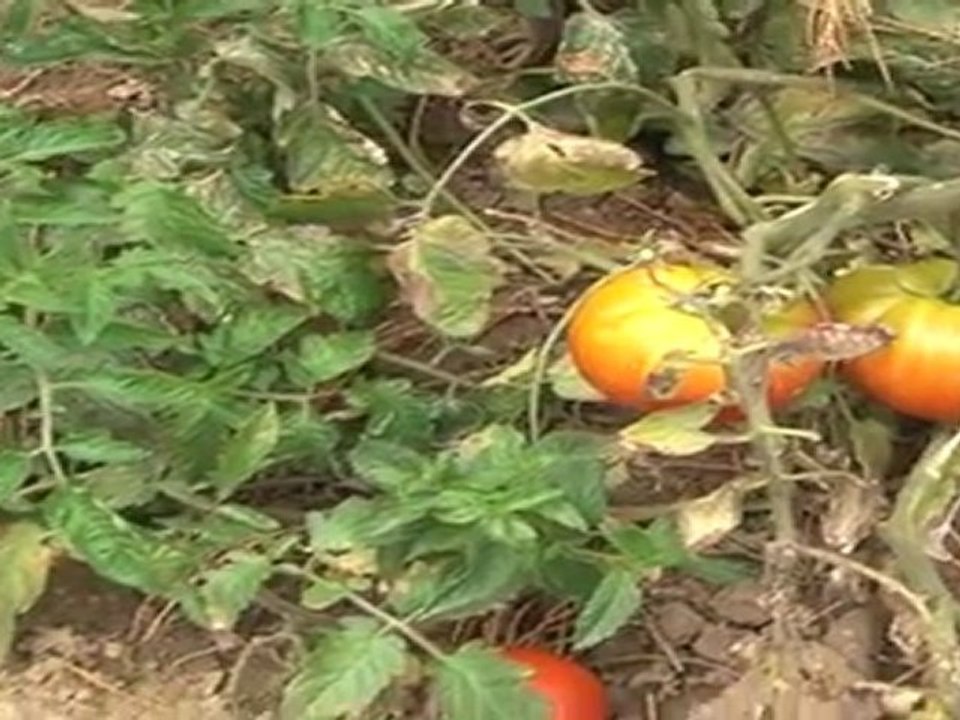 Reportage sur l'Espace enfants au Noyer Renard (Athis-Mons)