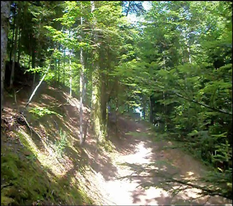 mountainboard