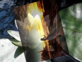 Ben öldükten sonramı geleceksin- FATİH YEŞİLGÜL..